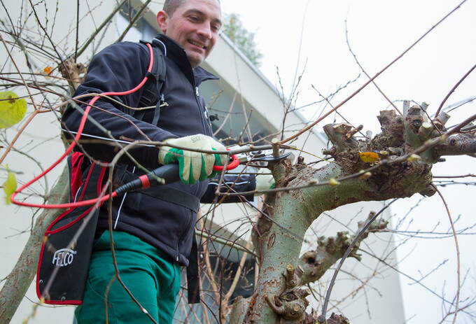 IC Unternehmungen Winterschnitt