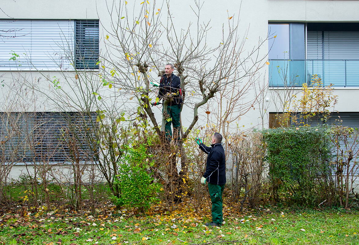 IC Unternehmungen Winterschnitt